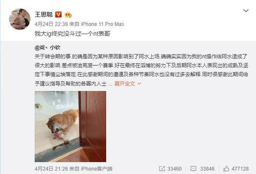感恩哥最新爆料新闻视频,最新爆料新闻视频深度解析