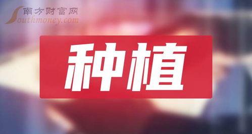 最新龙吟爆料新闻报道,揭秘神秘势力动向与未来走向