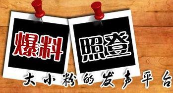 芳村新闻爆料,最新爆料揭示社区热点事件