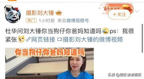刘大锤今日直播爆料视频,今日热点事件深度剖析