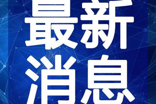 诈骗最新爆料新闻视频大全,视频曝光诈骗新闻大盘点