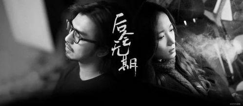 后会无期在线观看,青春逐梦之旅，在线重温经典瞬间