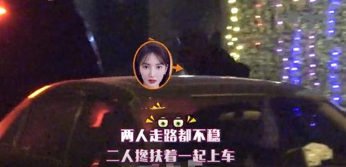 小李新恋情爆料视频在线观看,甜蜜视频引网友热议