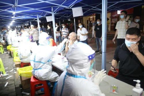 近日外媒爆料新闻视频下载,最新新闻视频下载事件揭秘