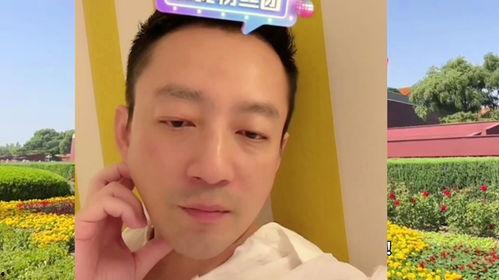 汪小菲爆料合集视频播放,揭秘明星背后的真实生活